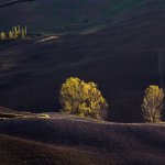 01. In Yellow