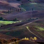 01. Land poetry